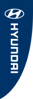 Blue, Hyundai Premier Flag