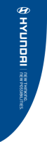 Blue, Hyundai New Thinking Premier Flag