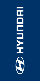Blue, Hyundai Flag