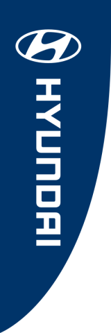 Blue, Hyundai Premier Flag