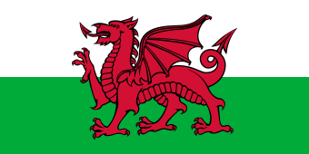 Wales National Flag