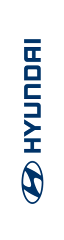 White, Hyundai Feather Flag