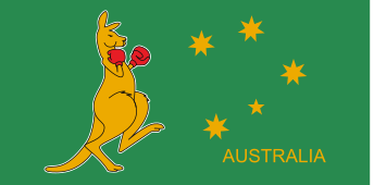 Boxing Kangaroo