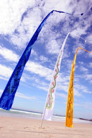 Dragon Festival Flags 01