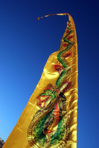 Dragon Festival Flags 02
