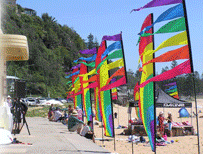 Pennant Festival Flags 02