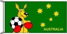 Fighting Kangaroo with Football