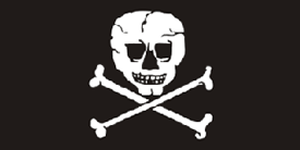 Jolly Roger Pirate Flag