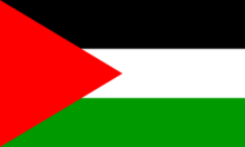 Palestine National Flag