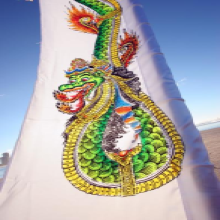 Dragon Festival Flags 03