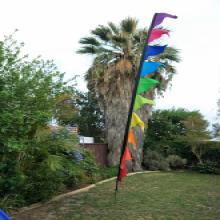 Pennant Festival Flags 03