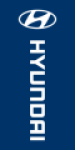 Blue, Hyundai Flag